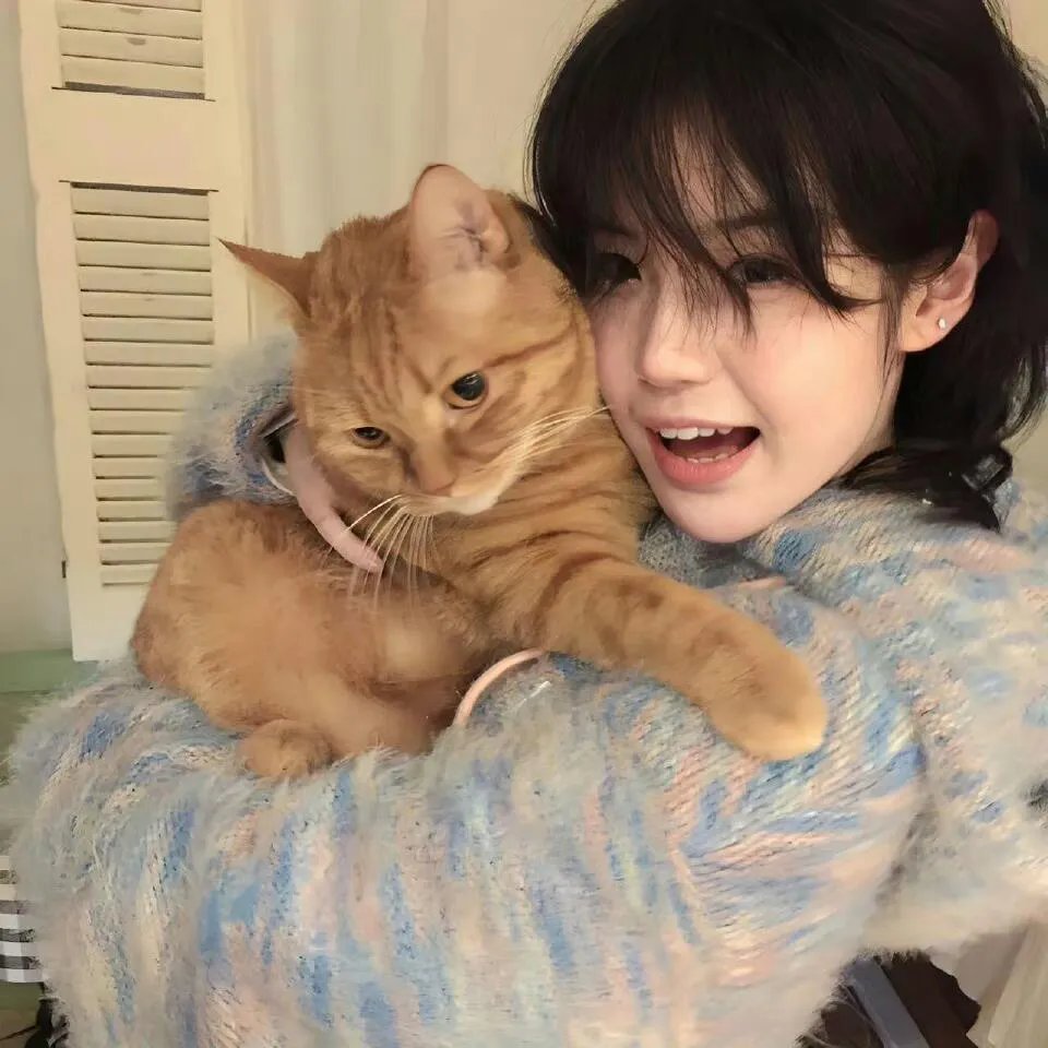 #窨井盖